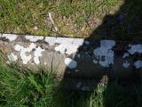 image of grave number 961284